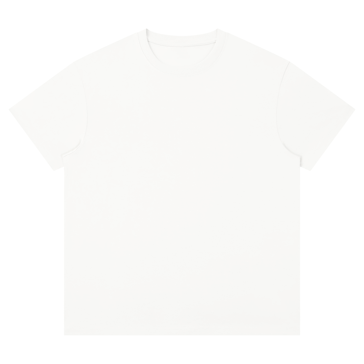 Unisex Performance Moisture-Wicking T-Shirt – Regular Fit Activewear Tee