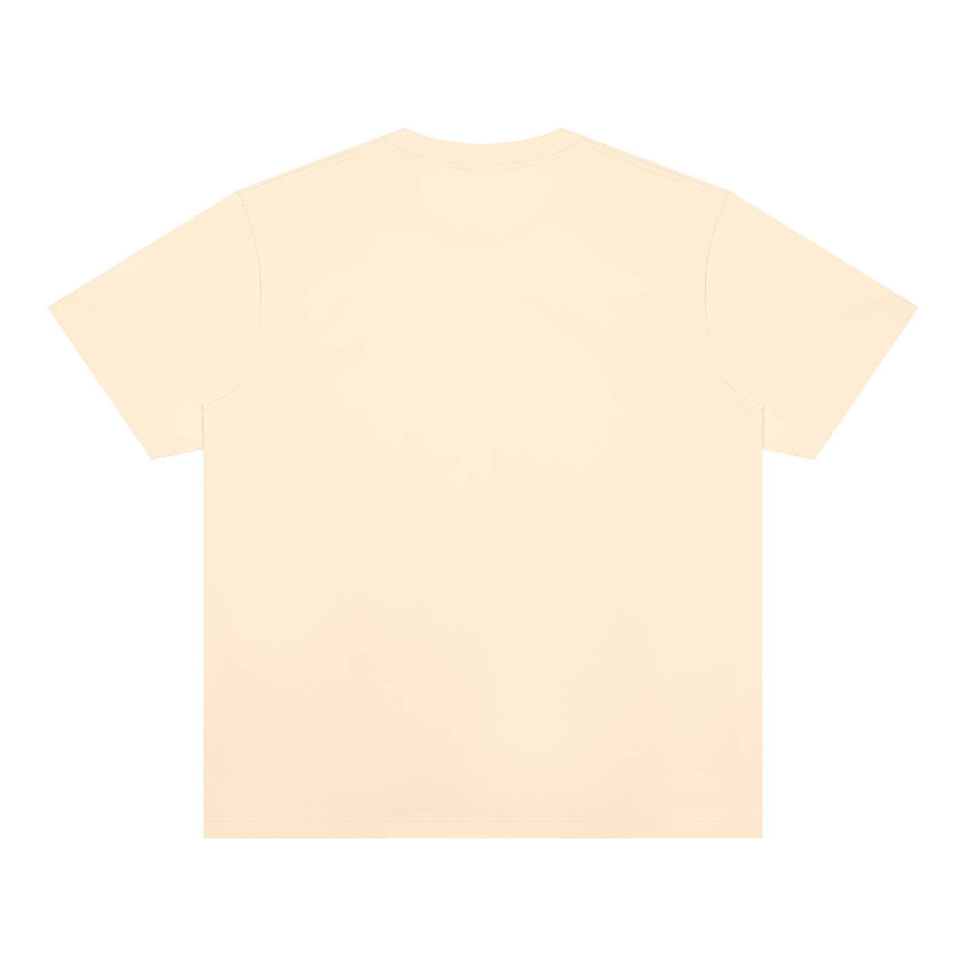 Unisex Heavyweight Sorona T-Shirt