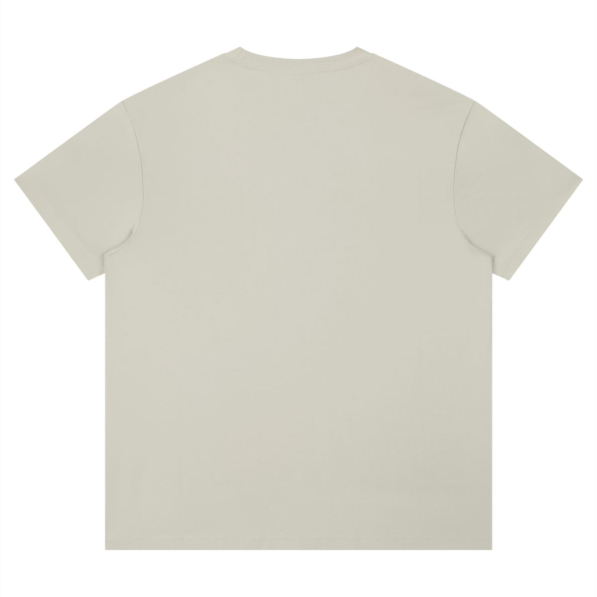 Unisex Performance Moisture-Wicking T-Shirt – Regular Fit Activewear Tee