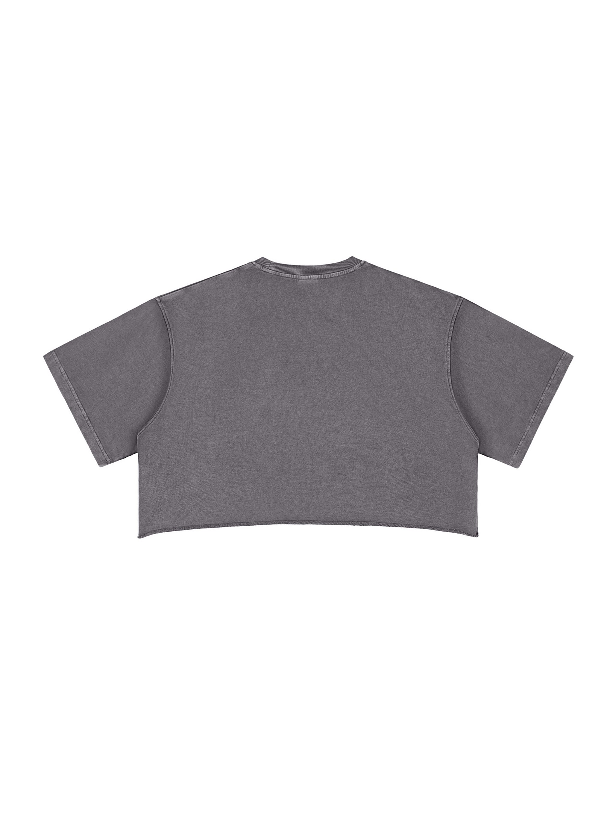 Snow Washed Raw Edge Crop Top